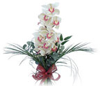 1 dal orkide çiçeği buketi