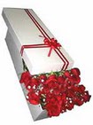 kutuda İstanbul İrem çiçek ten 9 adet sevdiklerinize kırmızı gül